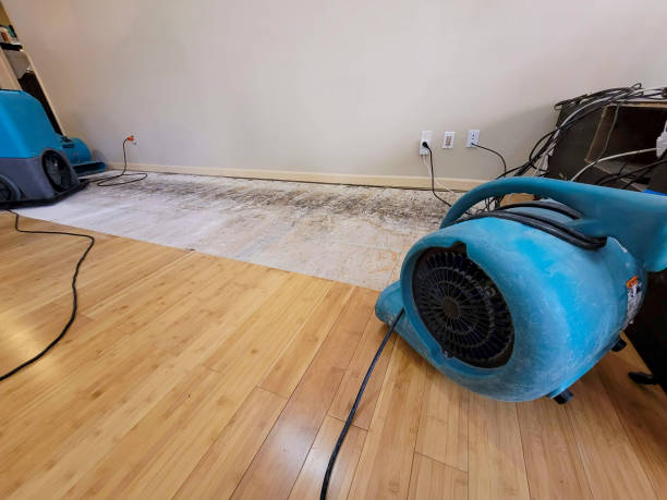 Reliable Basement Flood Cleanup contractor in Audubon, NJ by Hirex Water Damage
