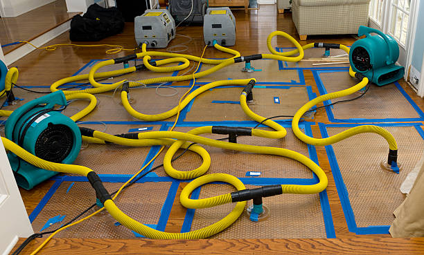 Professional Basement Flood Cleanup technician working in Audubon, NJ